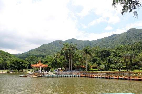 仙湖植物園
