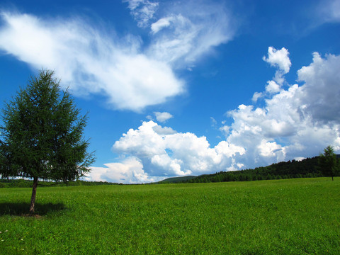 田園風(fēng)光
