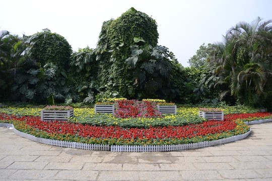 花圃