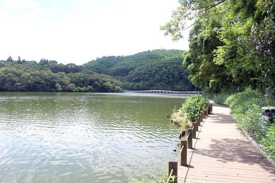 仙湖植物園