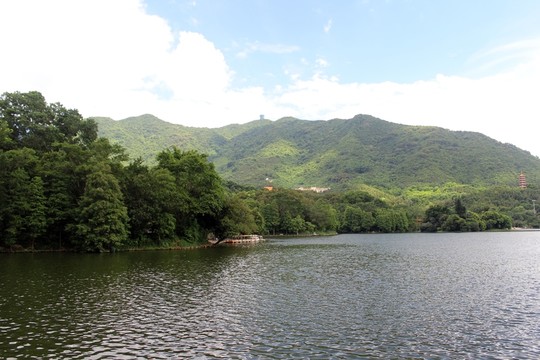 仙湖植物園