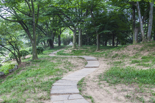 園林綠化景觀