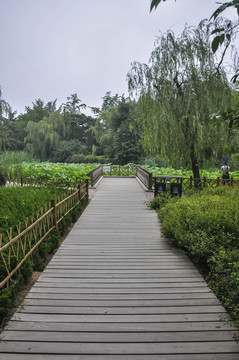 園林綠化景觀