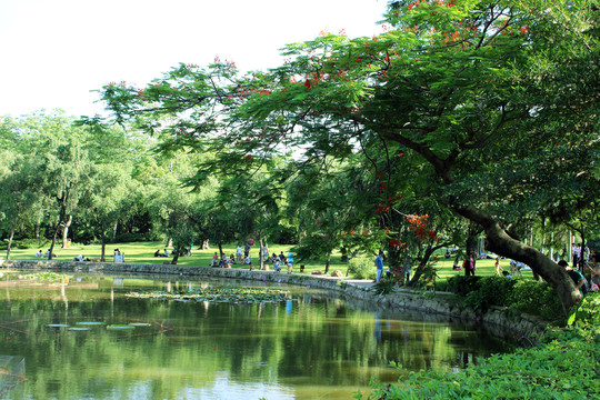 洪湖公園