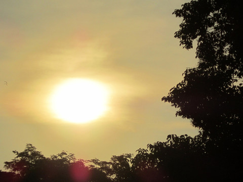 太陽(yáng)