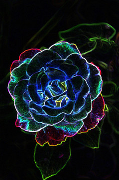 花彩色線描特效（合層）