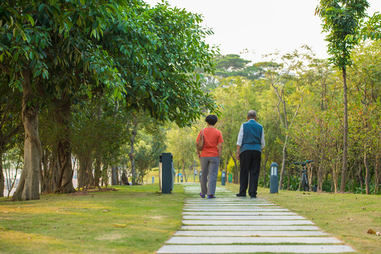 中老年人公園散步