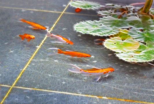 年年有魚(yú)