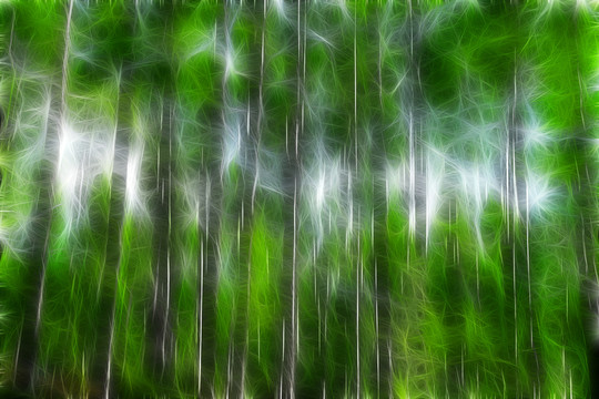 電腦畫 夢幻樹影