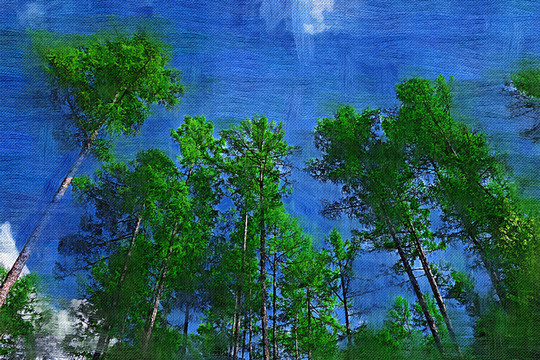 電腦畫 油畫松林