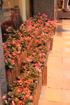 花欄