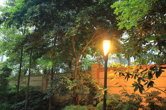 園林景觀