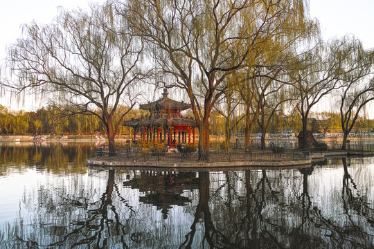 公園黃昏景色