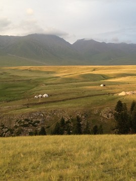 陽光山坡
