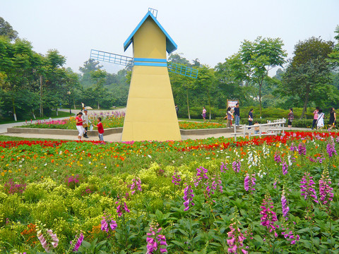 花展風(fēng)車