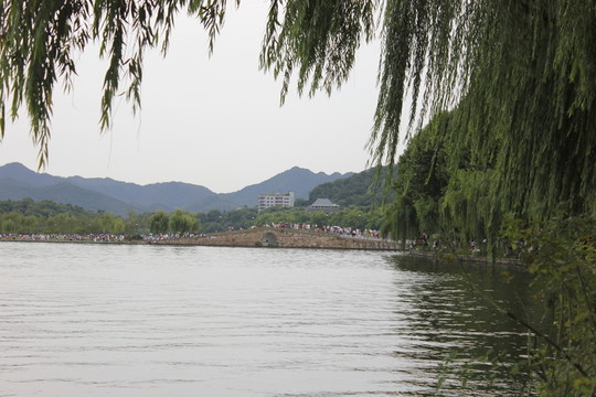 夏季的西湖