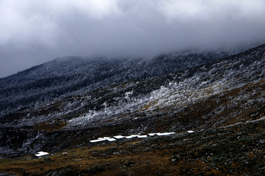 云霧 小山村