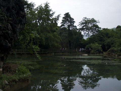 天星橋水塘