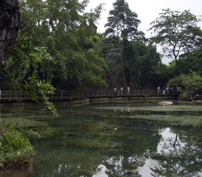 水塘風(fēng)光