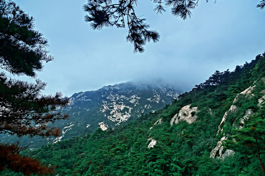 泰山風(fēng)光