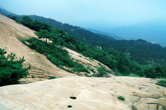 泰山風光