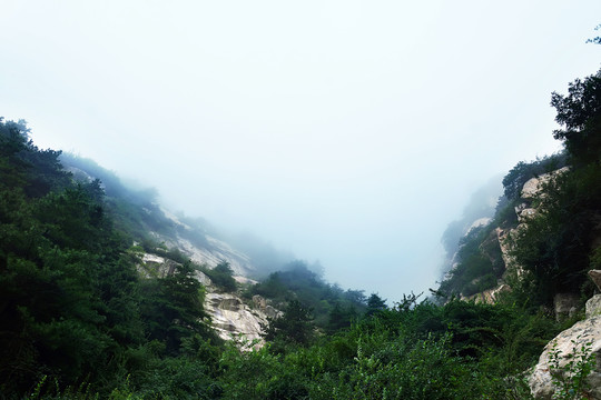 泰山風(fēng)光
