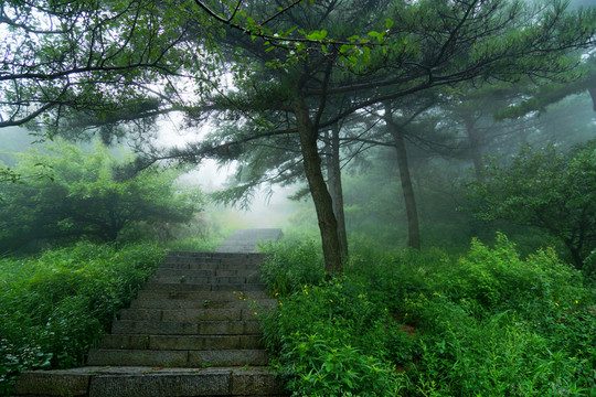 泰山盤道