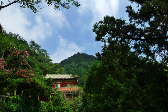 泰山風(fēng)光