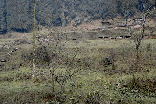 天臺山經(jīng)綸寺遺址