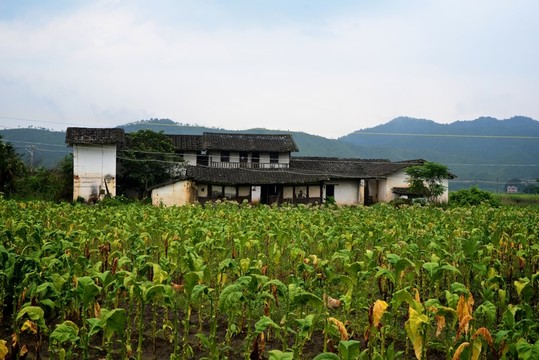 客家民居