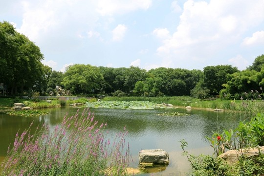 磨山風(fēng)景圖片