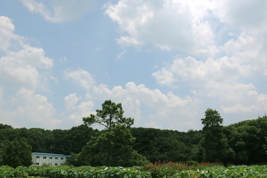 磨山風(fēng)景