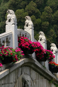 橋欄