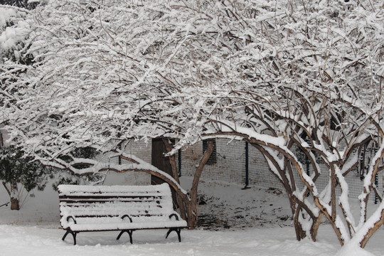 雪