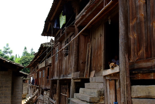 農(nóng)家
