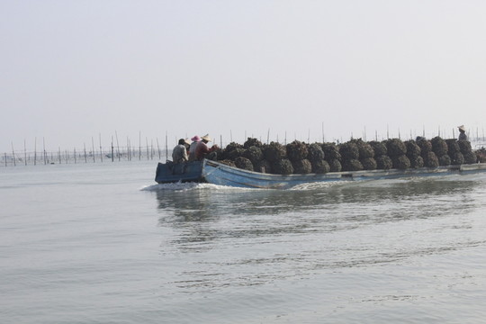 舟山島 大海 漁船 海洋養(yǎng)殖