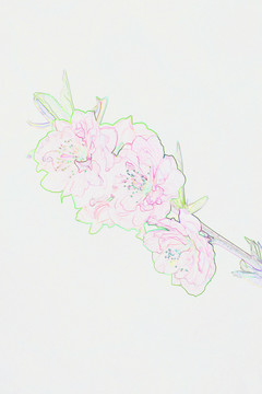 電腦繪畫 碧桃花
