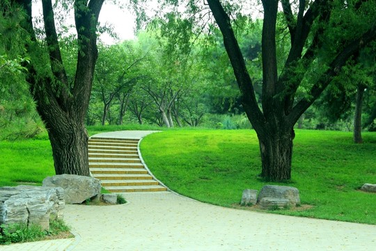 公園綠地