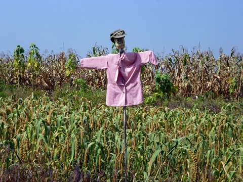 稻草人