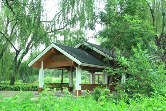 木屋  公園木屋  亭子