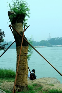 湖邊