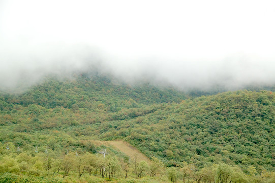 煙雨西嶺雪山