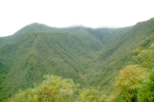 煙雨西嶺雪山