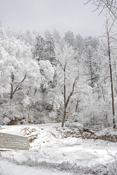 G318風(fēng)光雪景