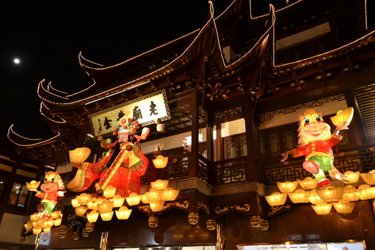 元宵節(jié) 春節(jié) 元宵節(jié)燈會(huì)