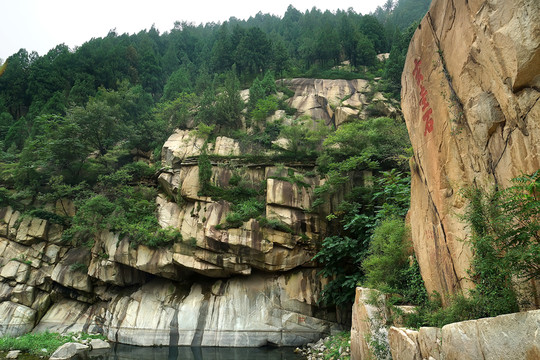 泰山石壁風(fēng)光
