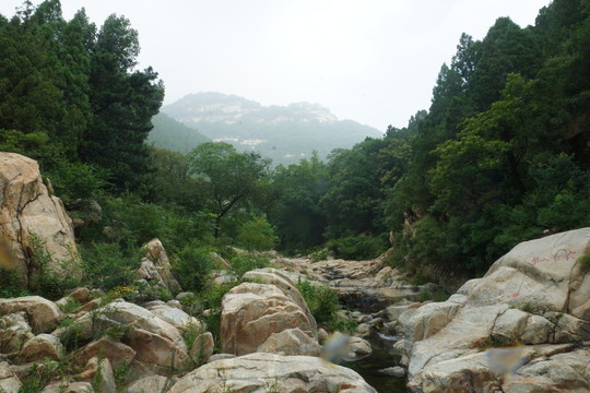 泰山河道風光