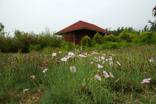 園林風光