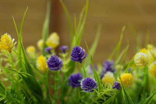 鮮花