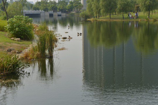 同濟大學濟海